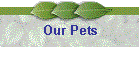 Our Pets